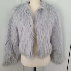 Beautiful Zara Faux Fur Jacket